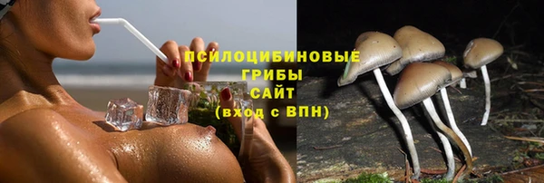 ГАЛЛЮЦИНОГЕННЫЕ ГРИБЫ Алексин