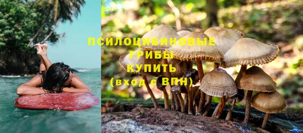ECSTASY Абаза