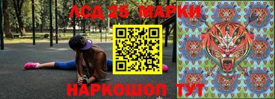 гашик Дубна