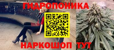 гашик Дубна