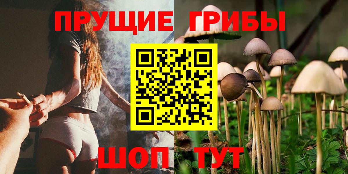 Псилоцибиновые грибы мухоморы Котовск